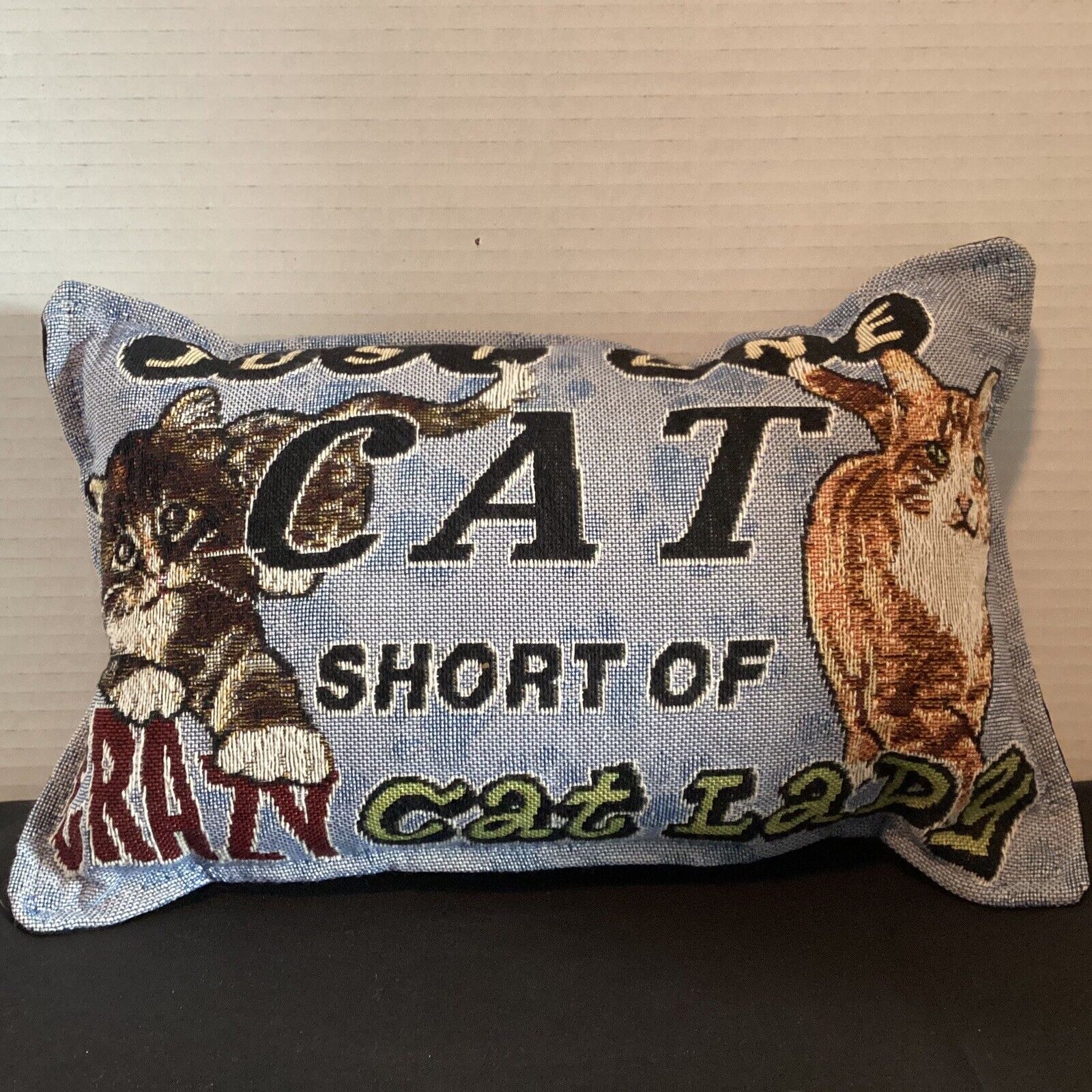 Cat Throw Pillow Tapestry “One Cat Short” Unbranded - фотография #2