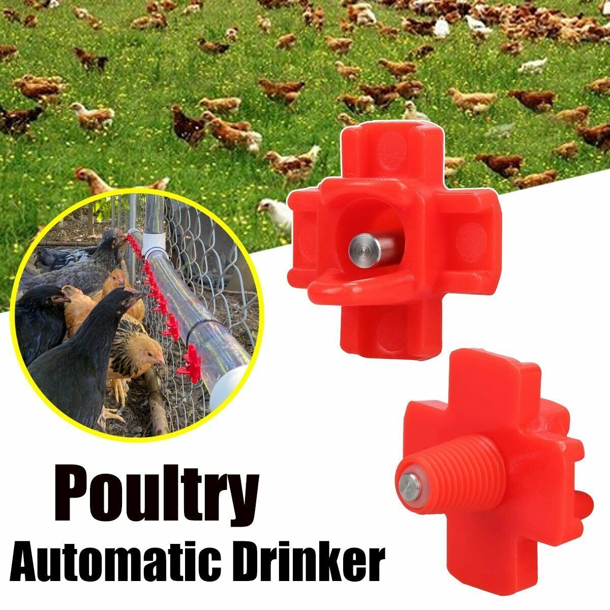 6Pcs/Lot Automatic Bird Quail Chicken Drinkers Hen Water Nipple Feeder Poultry Unbranded Does not apply