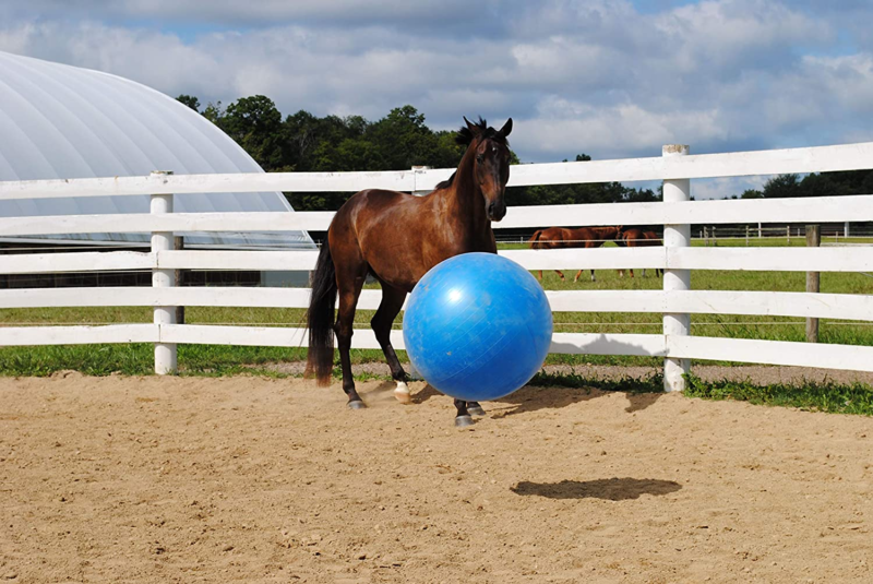 30-Inch Mega Ball for Horses, Blue Does not apply Does not apply - фотография #2