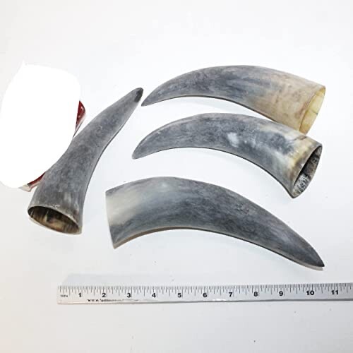 4 Raw Unfinished Cow Horns #6816 Natural Colored Без бренда - фотография #7