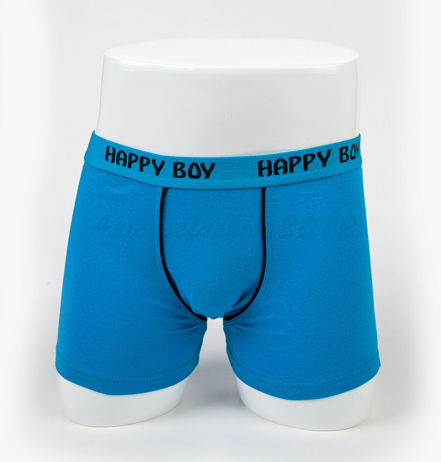 5pc Size 3 2－4 years Comfort Cotton Boys Boxers Briefs Classic Kids Underwear Unbranded - фотография #2