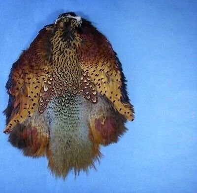 RING-NECK PHEASANT SKINS PELTS LOT 2 PELT SKIN RING NECK FEATHERS HARELINE U.S.  Unbranded Does Not Apply - фотография #2