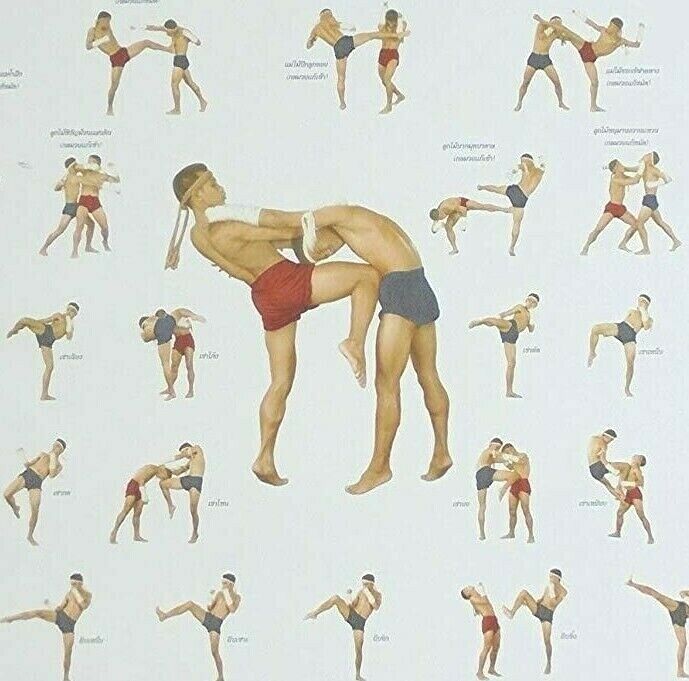 SET3 Poster Muay Thai Kick Boxing Collection for Training Technical Martial Art Unbranded Does Not Apply - фотография #6