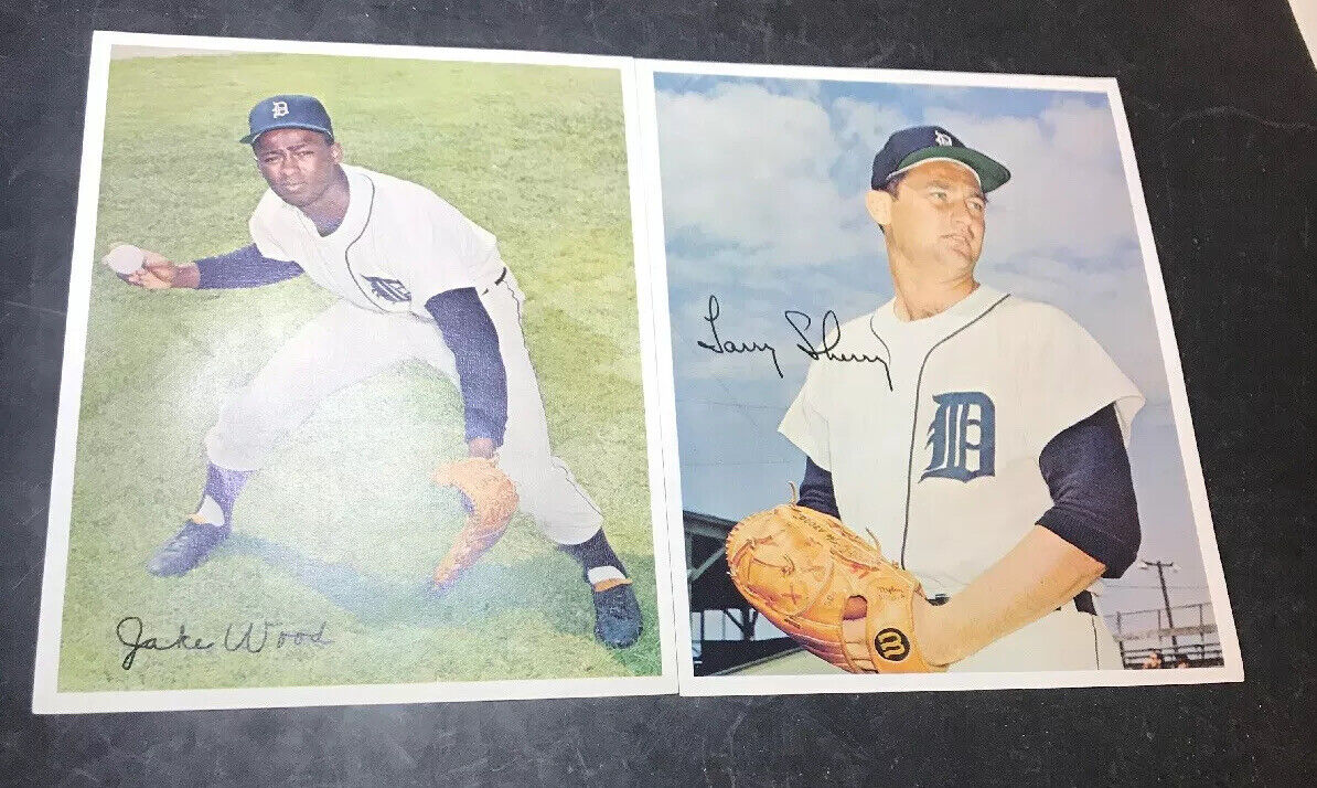 Lot of 12 Tiger Autographed 8X10 Color Tiger Prints KALINE BROWN MCCLAIN HOF  Без бренда - фотография #6