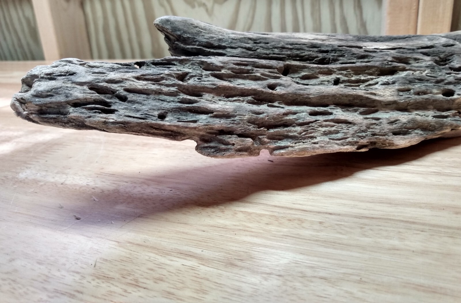 Lot of 5 Driftwood Pieces Reptile Terrarium Tank Art Enclosure Habitat Vivarium  Unbranded - фотография #5