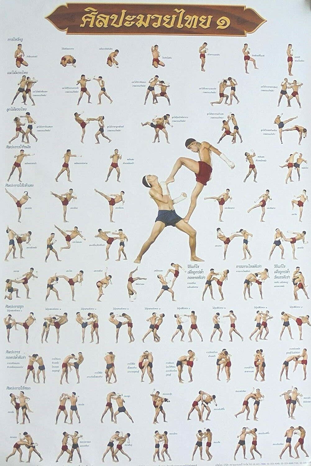 SET3 Poster Muay Thai Kick Boxing Collection for Training Technical Martial Art Unbranded Does Not Apply - фотография #2