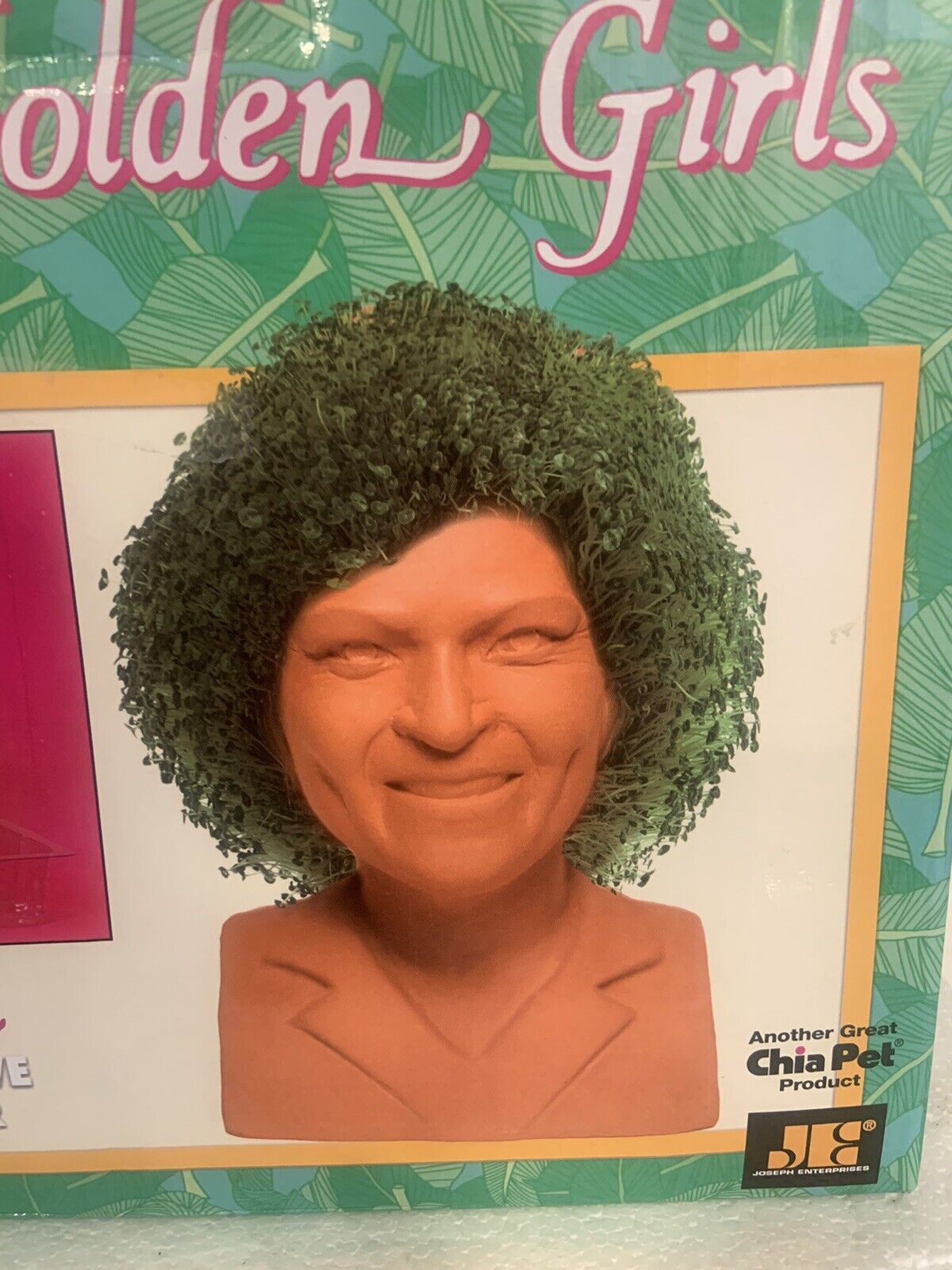 The Golden Girls “Rose” Chia Pet Decorative Planter Head Betty White New 2018 Chia Pet - фотография #4