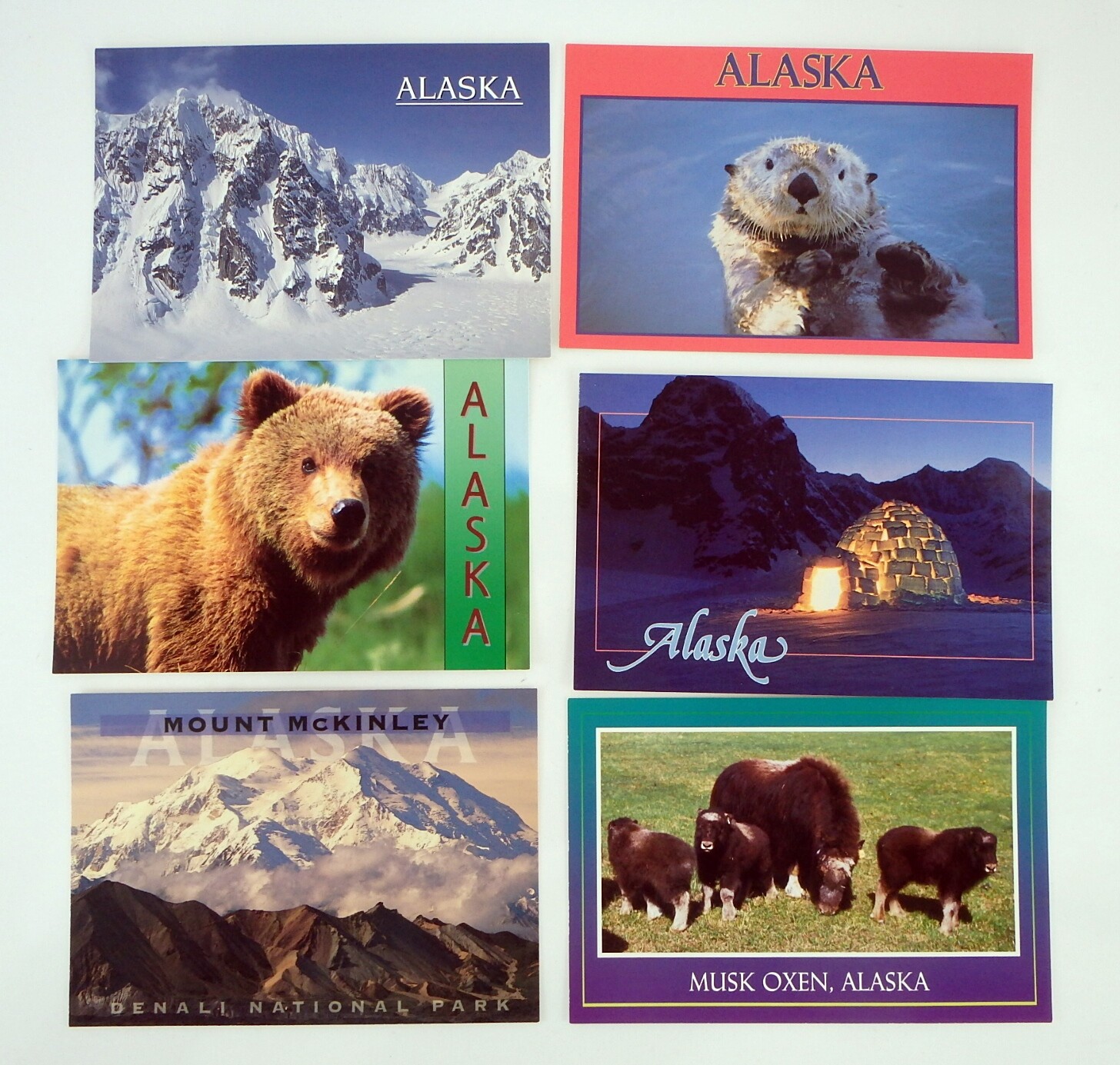 VTG ALASKA Postcard Lot Of 6 Mount McKinley Bear Igloo Sea Otter Oxen Без бренда