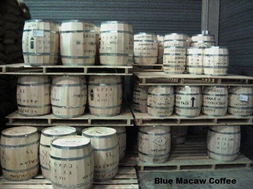 100 % JAMAICAN BLUE MOUNTAIN COFFEE BEANS MEDIUM ROASTED 2 POUNDS Blue Mountain - фотография #3