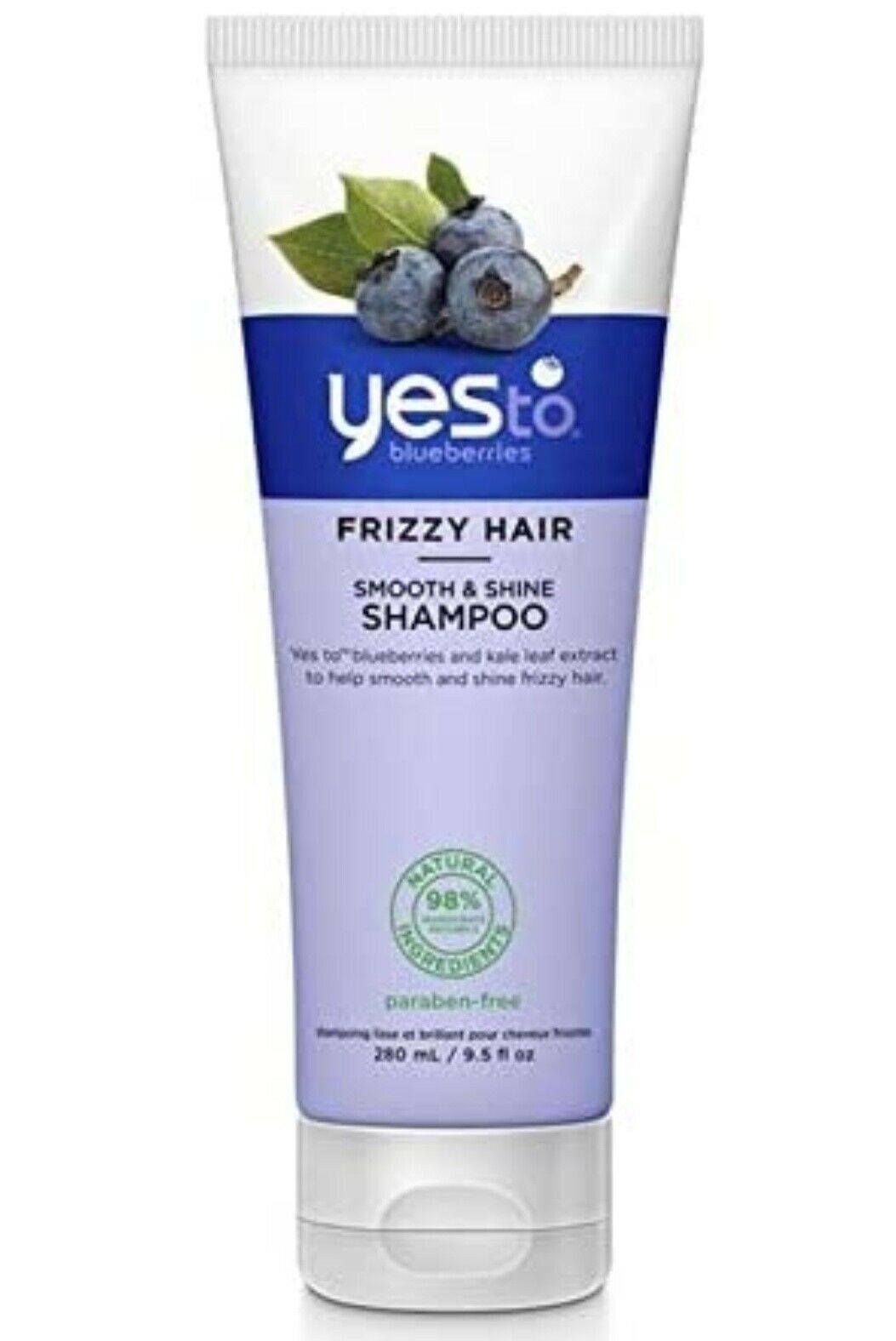 Yes to Blueberries Smooth & Shine Shampoo 9.5 oz Frizzy Hair Discontinued HTF Yes To