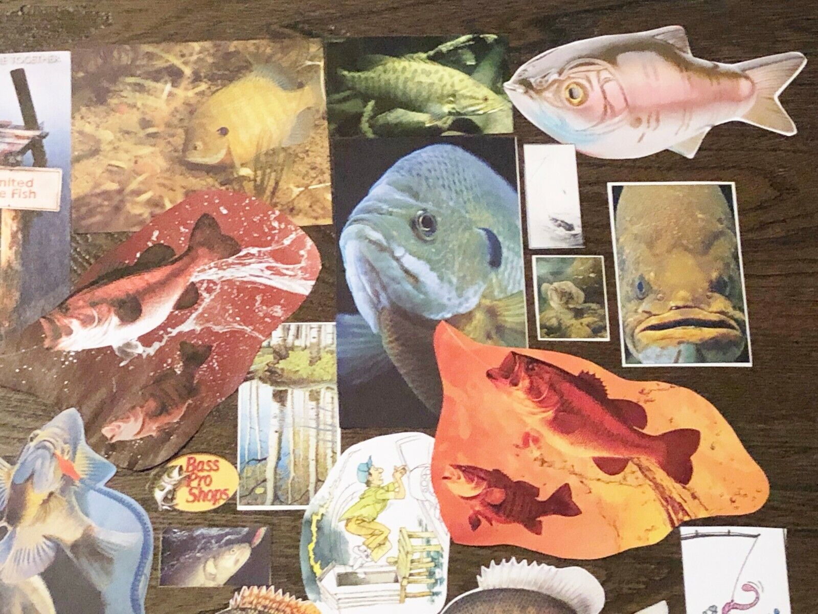Vtg GONE FISHING! Fish Pics&Ads~Man Cave Junk Journal,Collage Art Scrap Book Lot Unbranded Does Not Apply - фотография #4