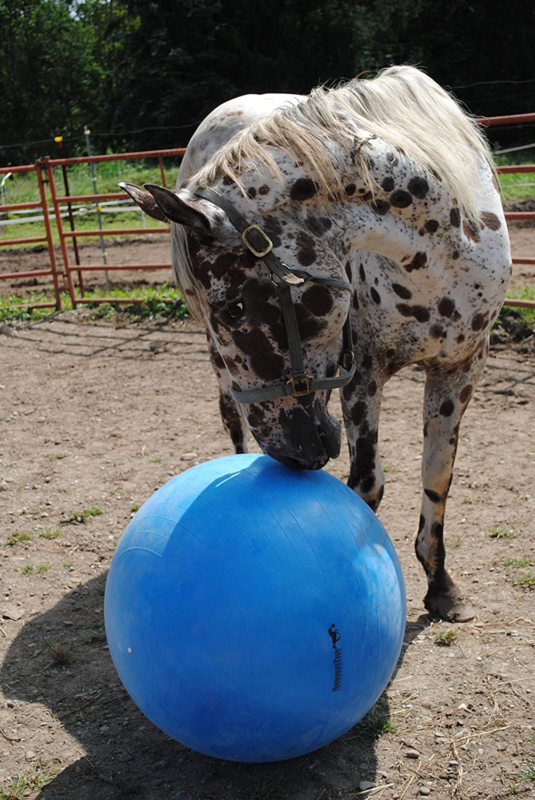 30-Inch Mega Ball for Horses, Blue Does not apply Does not apply - фотография #4