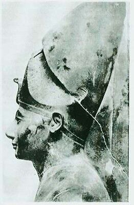 Ancient Egyptian Amarna Age Akhenaton Amenhotep Nefertiti Hittite Assyria Minoan Без бренда - фотография #3