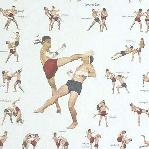 SET3 Poster Muay Thai Kick Boxing Collection for Training Technical Martial Art Unbranded Does Not Apply - фотография #8