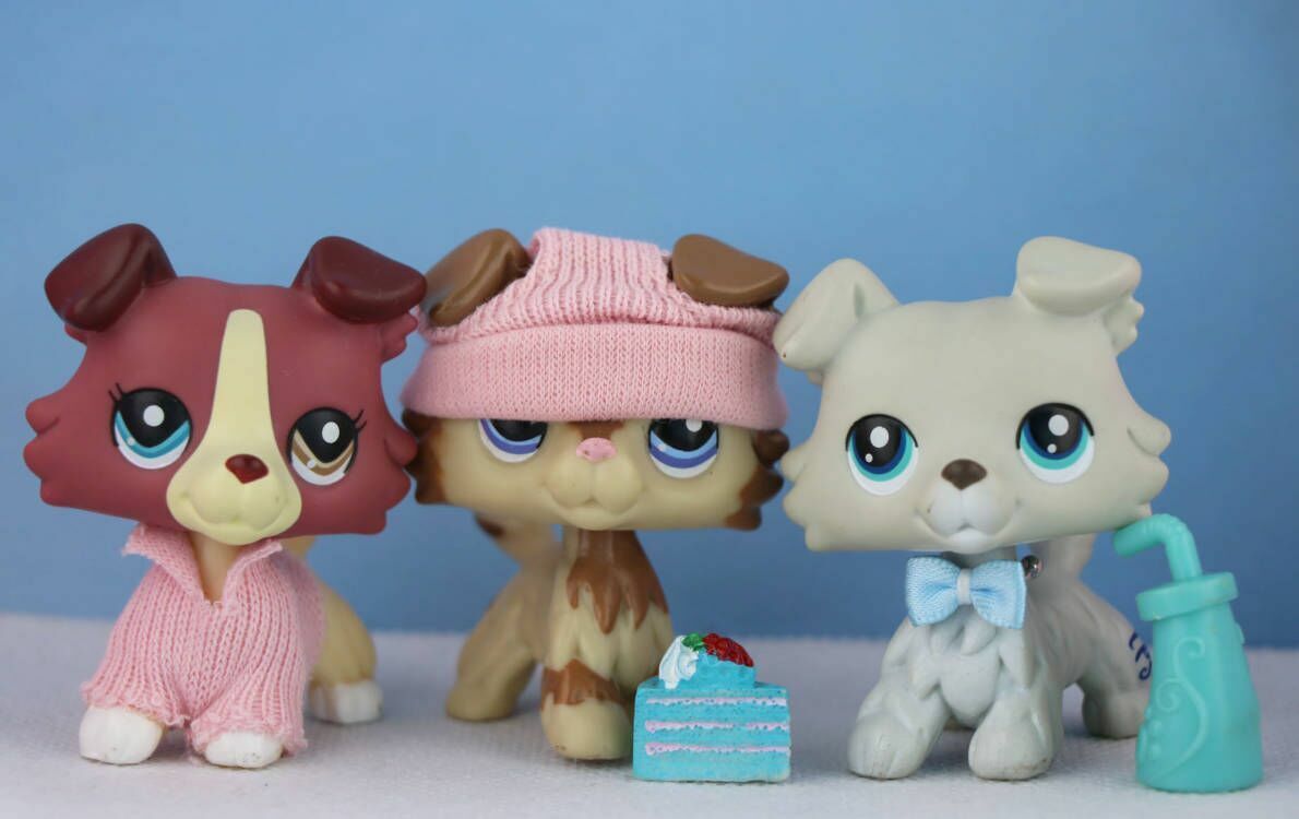 3xAuthentic Littlest Pet Shop LPS Collie 363 2210 1262 With lps Accessories RARE NLPS - фотография #2