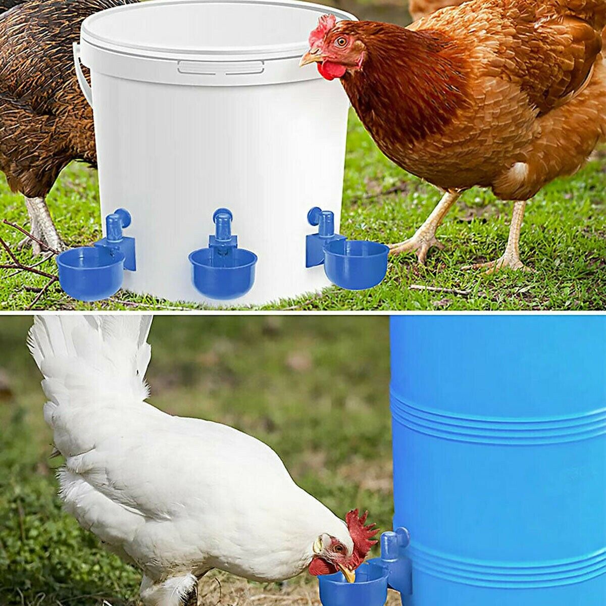 40x Automatic Water Cup Poultry Drinker Waterer Chicken Duck Quail Drinking Feed Unbranded Automatic Water Cups - фотография #11