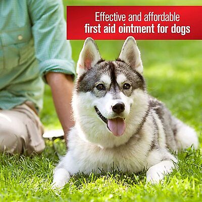 Sulfodene 3-Way Ointment for Dogs 2oz Pain Relief & Prevents Infection - 12 Pack Sulfodene 100502457 - фотография #3