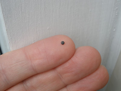 Natural Black diamond loose faceted round 1.5mm pinnaclediamonds - фотография #4