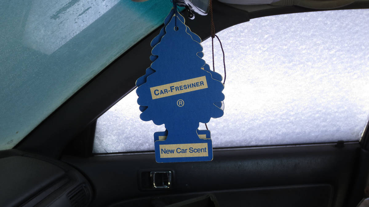 Little Trees  New car  Freshener scent 10189  Air MADE IN USA Pack of 24 Little Trees U1P-10189 - фотография #8