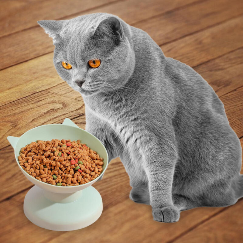 Tilted Cat Food Bowls Anti Vomiting Raised Cat Bowl Elevated Cat Dog Food Bowl Без бренда - фотография #4