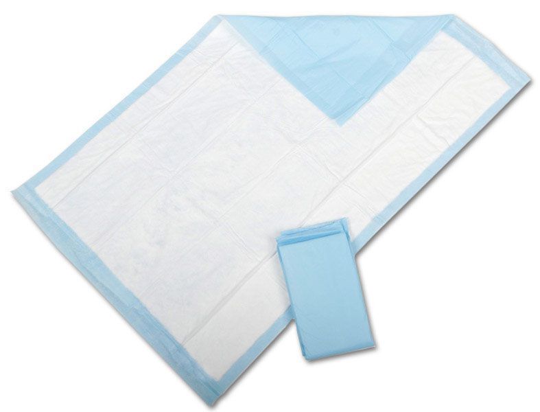 100 17x24 Quilted Disposable Underpads Dog Pet Training Potty Puppy Wee Wee Pad PHARMA PKUFS170/1341