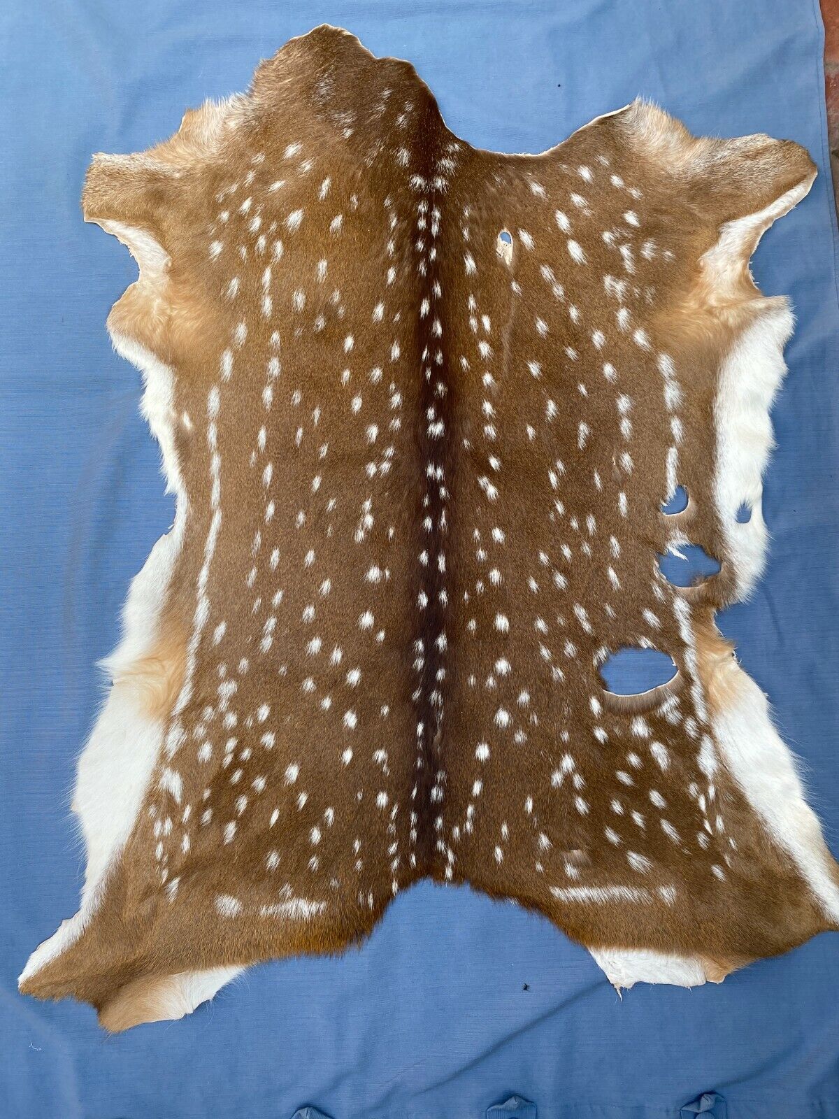 Axis Deer Chital Hides - 10 Pieces Lot #003 Axis Axis Does Not Apply - фотография #6