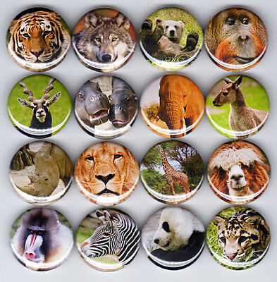 WILD ANIMALS button set lion tiger bear panda wolf zebra elephant giraffe zoo Без бренда