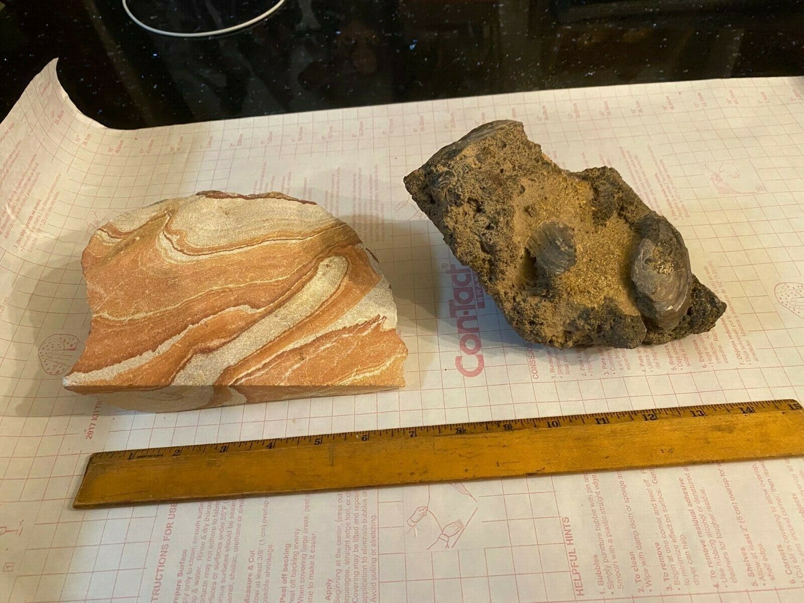lot of 2 huge sandstone and fossilized clams, 7" and 8" long Без бренда