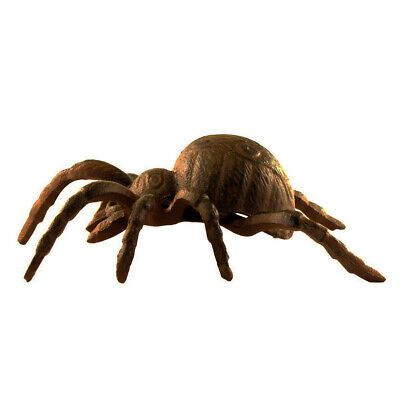 Acanthoscurria Insubtilis Cast Iron Large Giant Tarantula Spider Outdoor Statue Unbranded HK-SPIDER