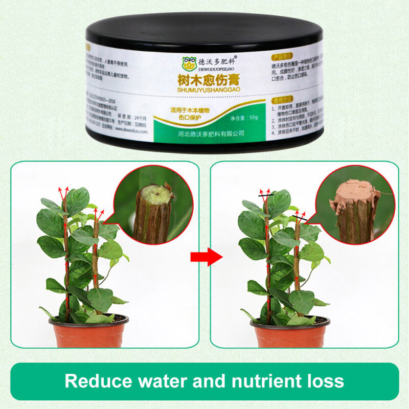 NEW Bonsai Pruning Cutting Paste 50g Plant Callus Ointment For Wound Healing  Unbranded Does Not Apply - фотография #7