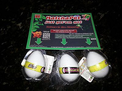 HatchaPet Eggs Growing Pet Dinosaur Eggs x3 - Perfect Gift for Easter!! HatchaPet - фотография #3