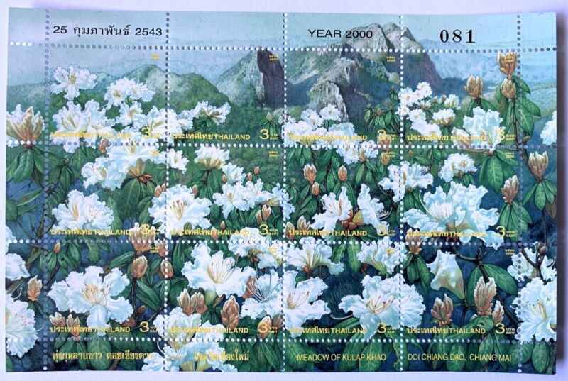 Thailand 5 minisheets of 12 stamps each flowers Meadow of Kulap Khao 2000 MNH Без бренда - фотография #2