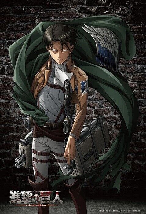 ATTACK ON TITAN "LEVI ACKERMAN" 300 pieces Jigsaw Puzzle Beverly 83117 (26×38cm) Beverly BEV-83-117