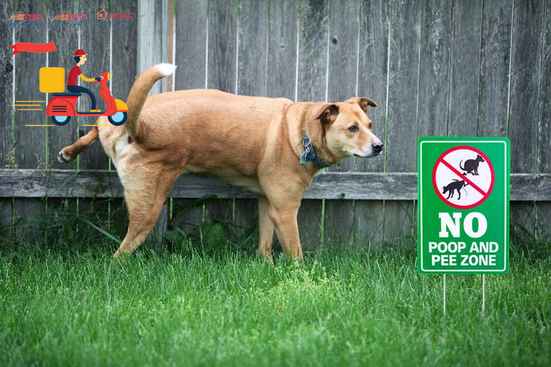 Double Side No Poop and Pee Zone Yard Signs with Stakes, 8''X12'' No Pooping Dog Does not apply - фотография #5