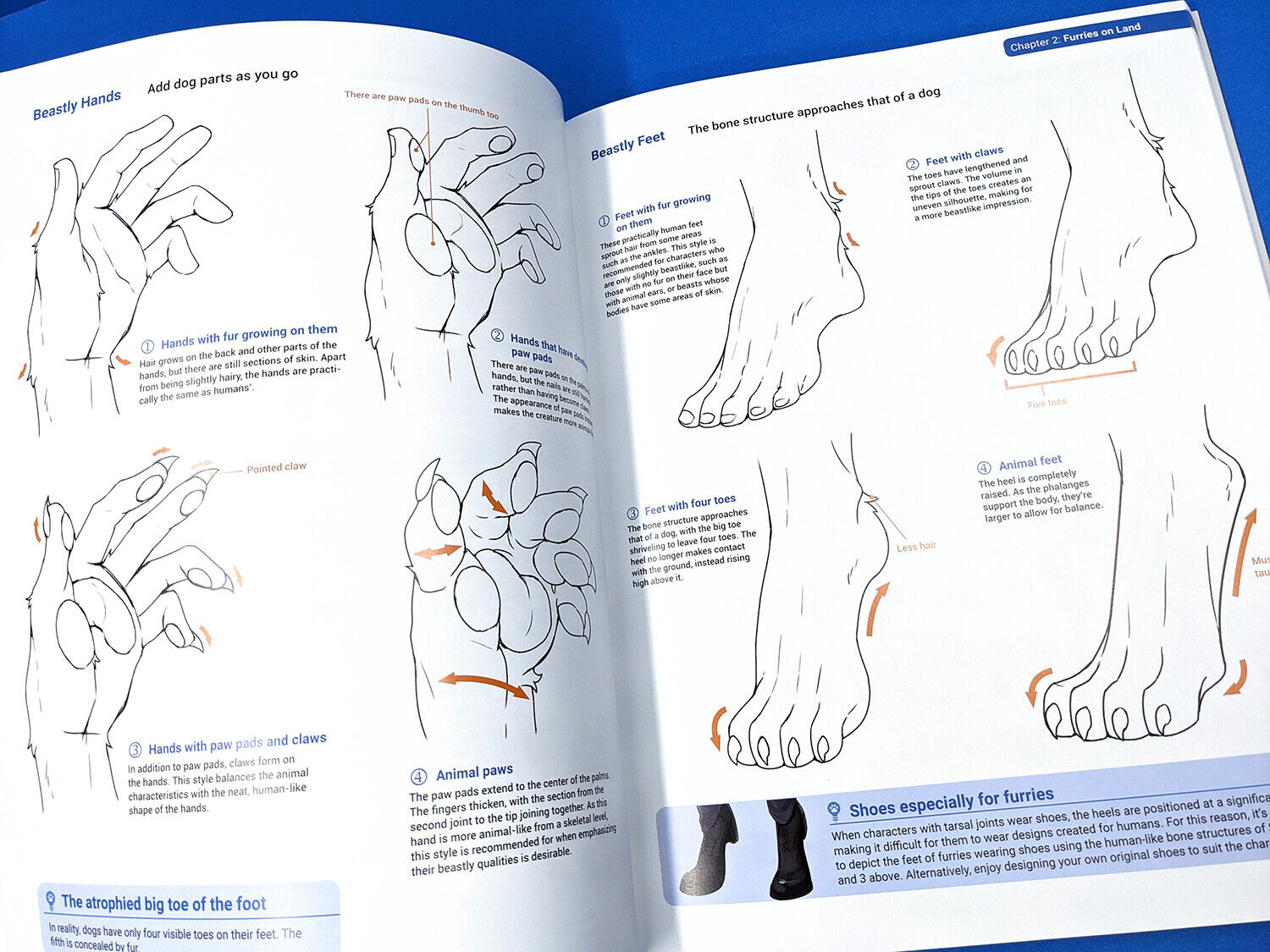 Фурри книги. Книга как рисовать фурри. Как рисовать фурри книжка. Книги про фурри. How to draw Manga furries на русском.