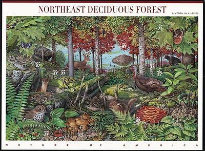 10 Mint NORTHEAST DECIDUOUS FOREST Stamps: Turkey, Ovenbird, Red-Shouldered Hawk Без бренда