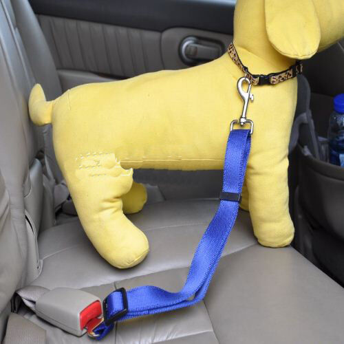 2x D BLUE Dog Pet Puppy Safety Seatbelt for Car Vehicle Seat Belt Harness Lead Unbranded
