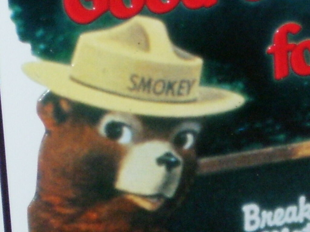 SMOKEY THE BEAR being a Teacher - With Tips To Prevent FOREST FIRE -> Great Sign Без бренда - фотография #7