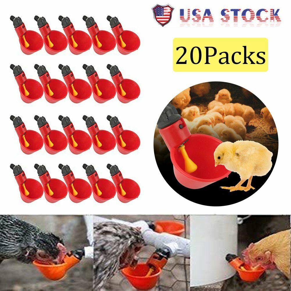 20Pcs Poultry Water Waterer Chicken Hen Drinking Cups Plastic Automatic Drinker Unbranded