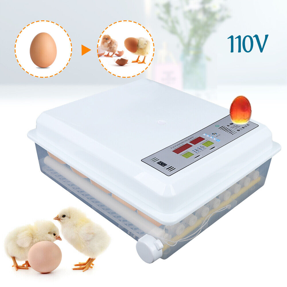 for Hatching Eggs Incubators 64 Egg Incubator Automatic Egg Turning Chicken Farm Unbranded - фотография #16