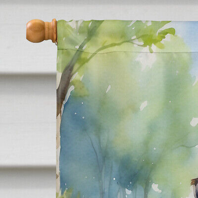 Border Terrier Spring Path Flag Canvas House Size DAC6574CHF Без бренда - фотография #3