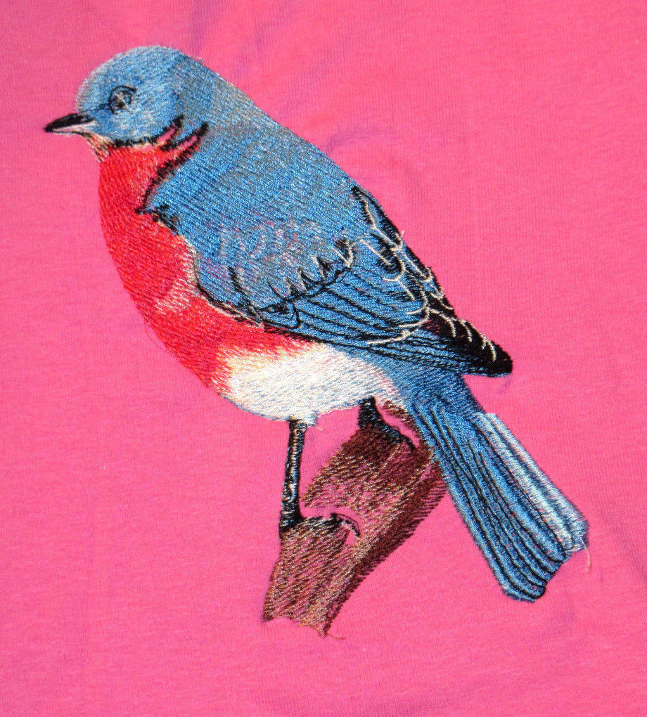 Embroidered Long-Sleeved T-Shirt - Bluebird BT2824 Без бренда