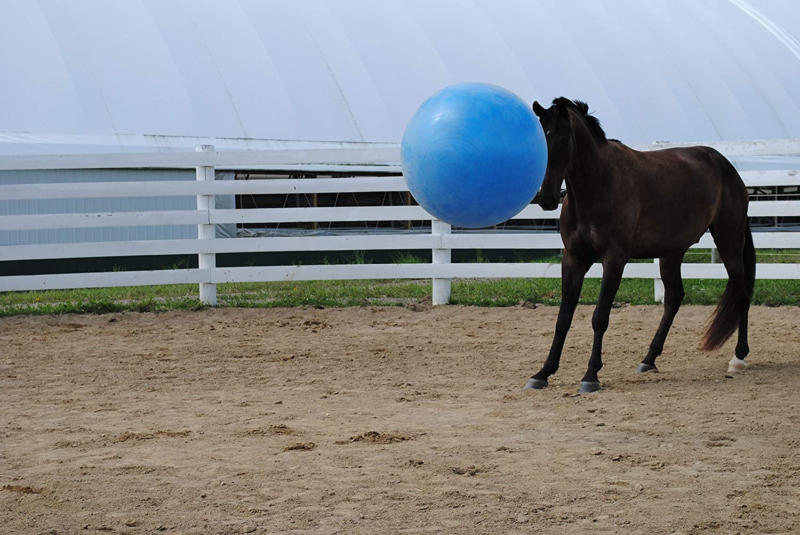 30-Inch Mega Ball for Horses, Blue Does not apply Does not apply - фотография #3