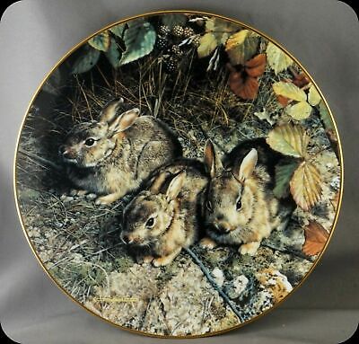 Carl Brenders Lot of 3 OUR WOODLAND FRIENDS 1989-91 Collectors Art China Plates Bradford Exchange - фотография #3