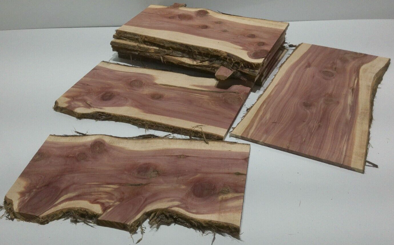 1 Milled Kiln Dried Eastern Red Cedar Lumber SLAB 24" X 8-12" X 1/2" RARE Our Wood Shop