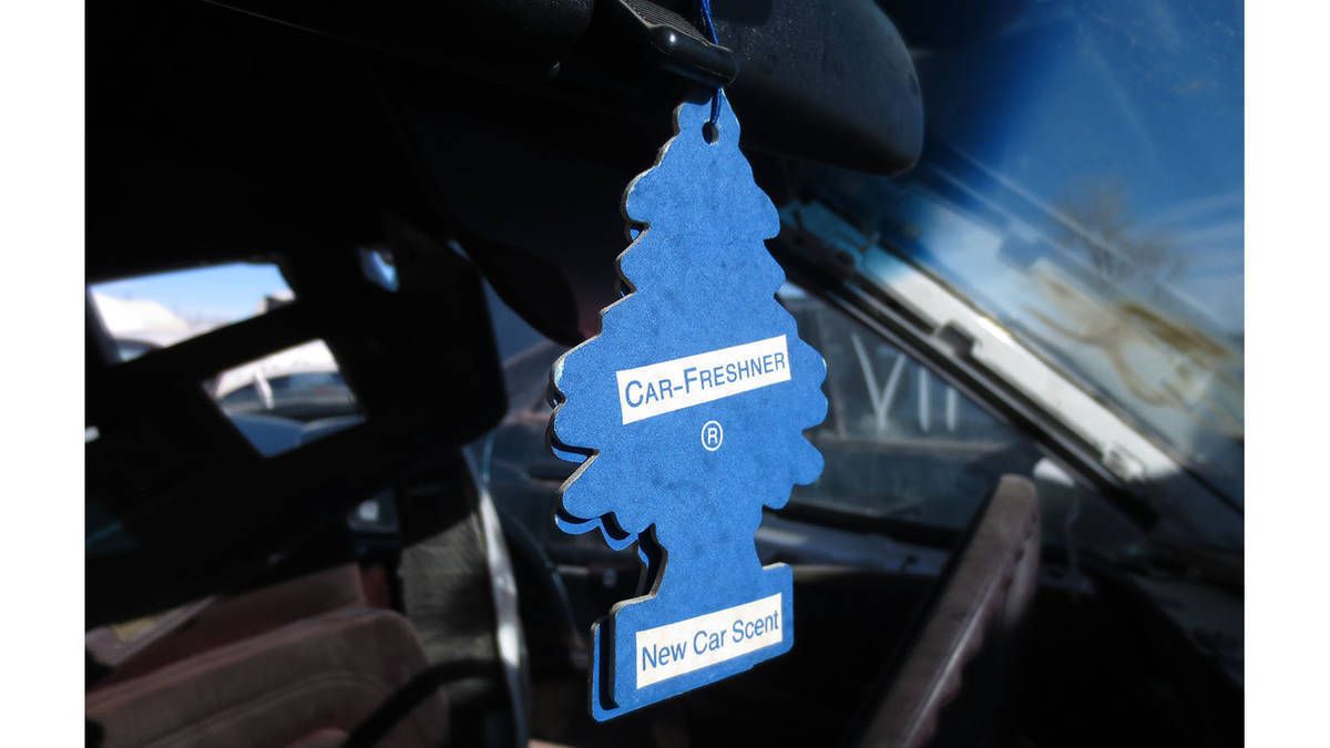 Little Trees  New car  Freshener scent 10189  Air MADE IN USA Pack of 24 Little Trees U1P-10189 - фотография #7