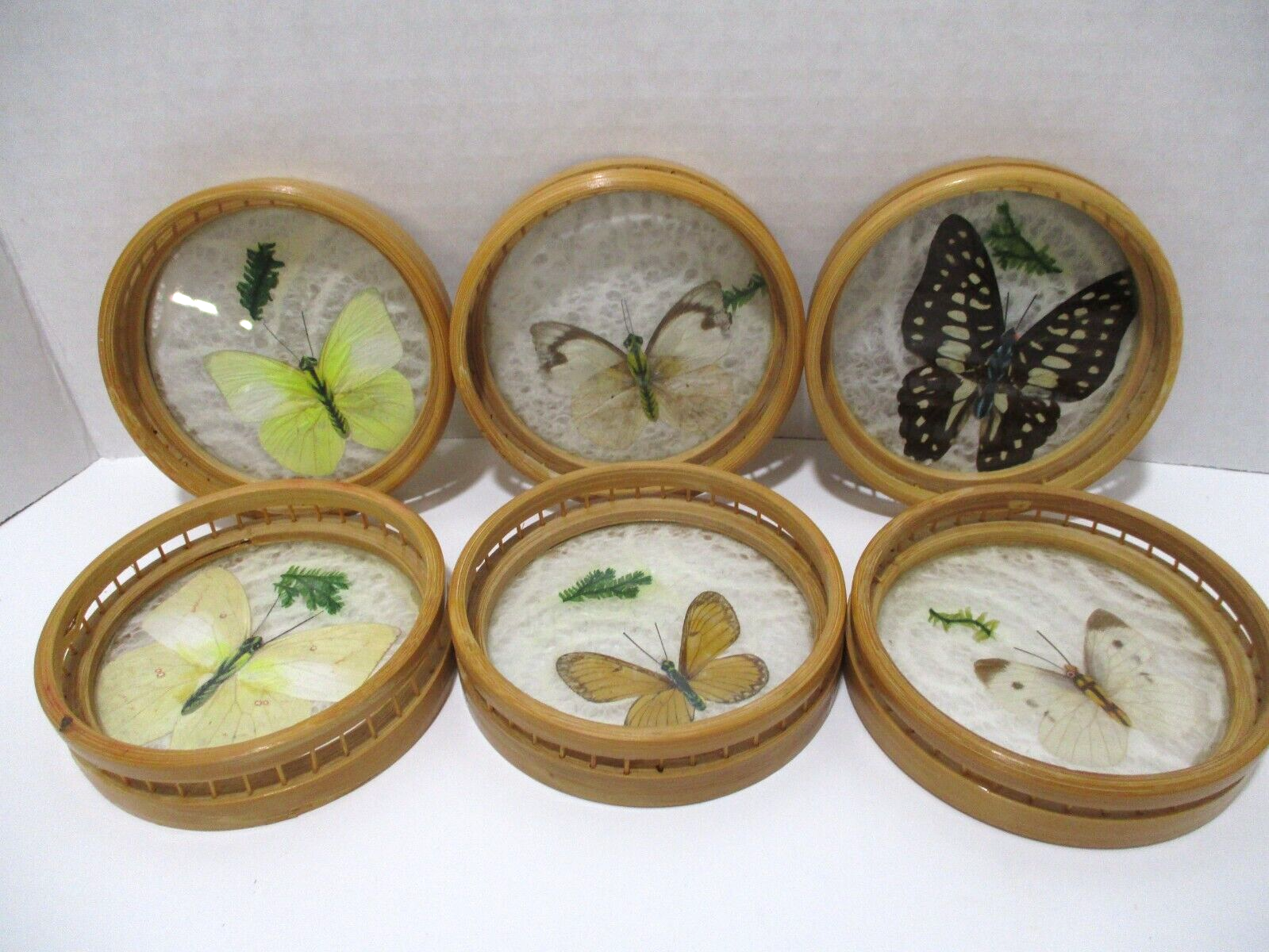Vintage Bamboo Pressed Butterfly Serving Tray and Coasters Set Complete BOHO Unbranded Coaster Set - фотография #5
