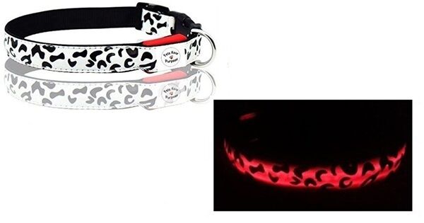 (10) NEW LED Light Lighted Adjustable Dog Puppy Safety Small Collar- Wholesale Unbranded LLL100