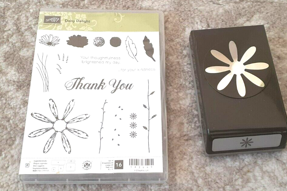 Stampin' Up! "Daisy Delight" and Daisy Punch Stampin' Up!