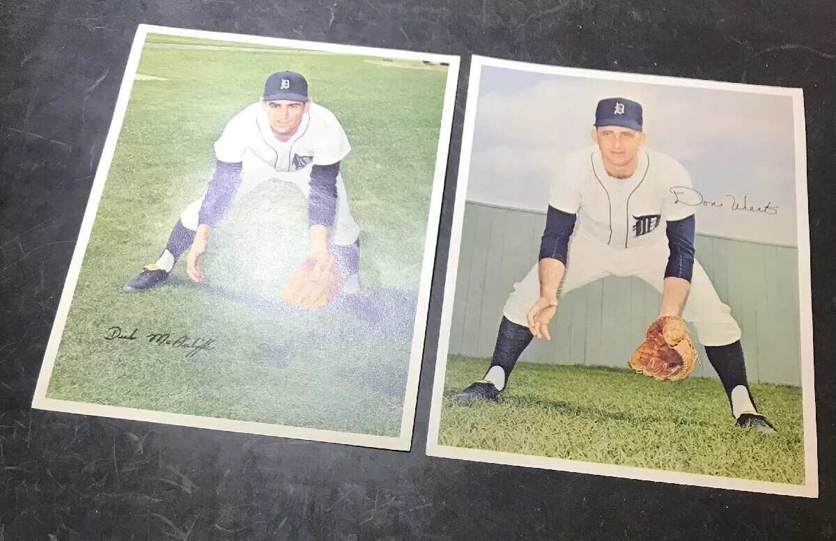 Lot of 12 Tiger Autographed 8X10 Color Tiger Prints KALINE BROWN MCCLAIN HOF  Без бренда - фотография #8